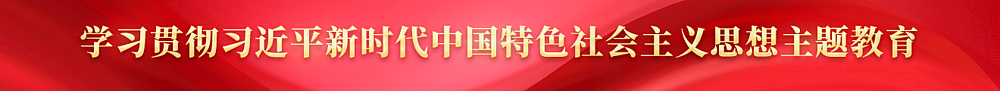 学习贯彻习近平新时代中国特色社会主义思想主题教育